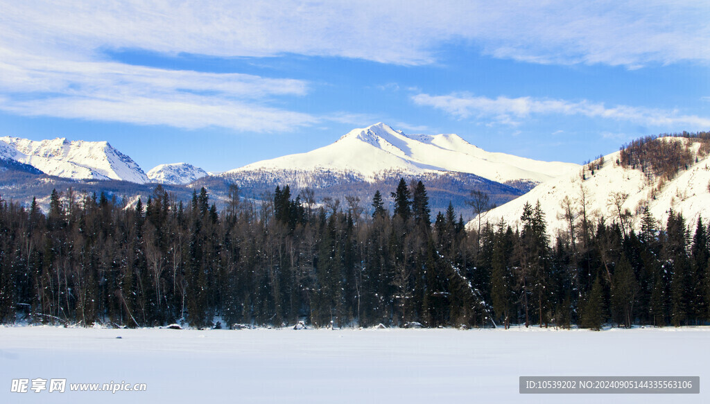 冬季雪景