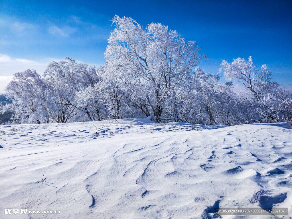 冬季雪景