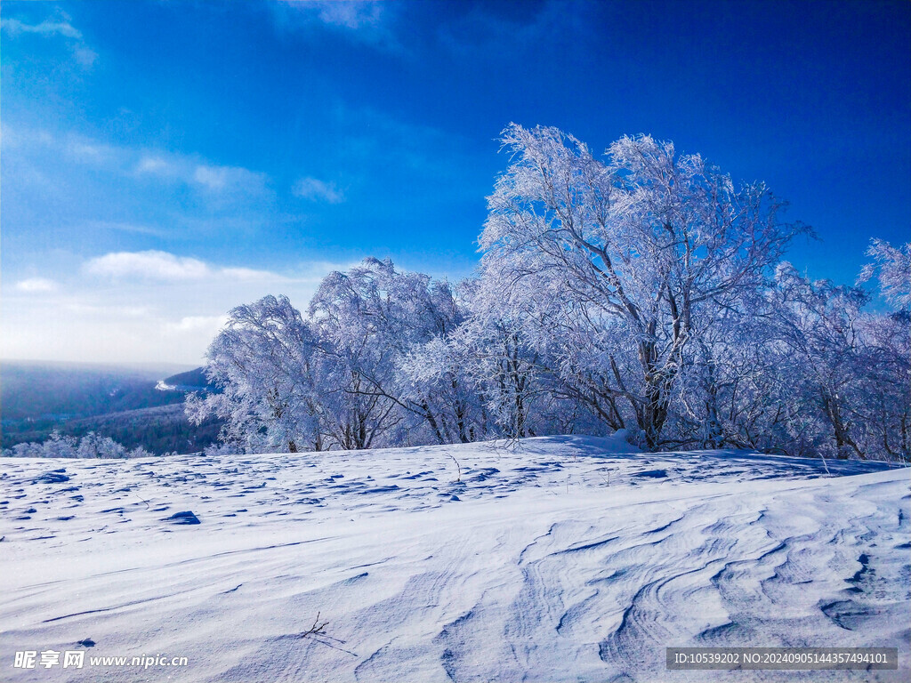 冬季雪景 