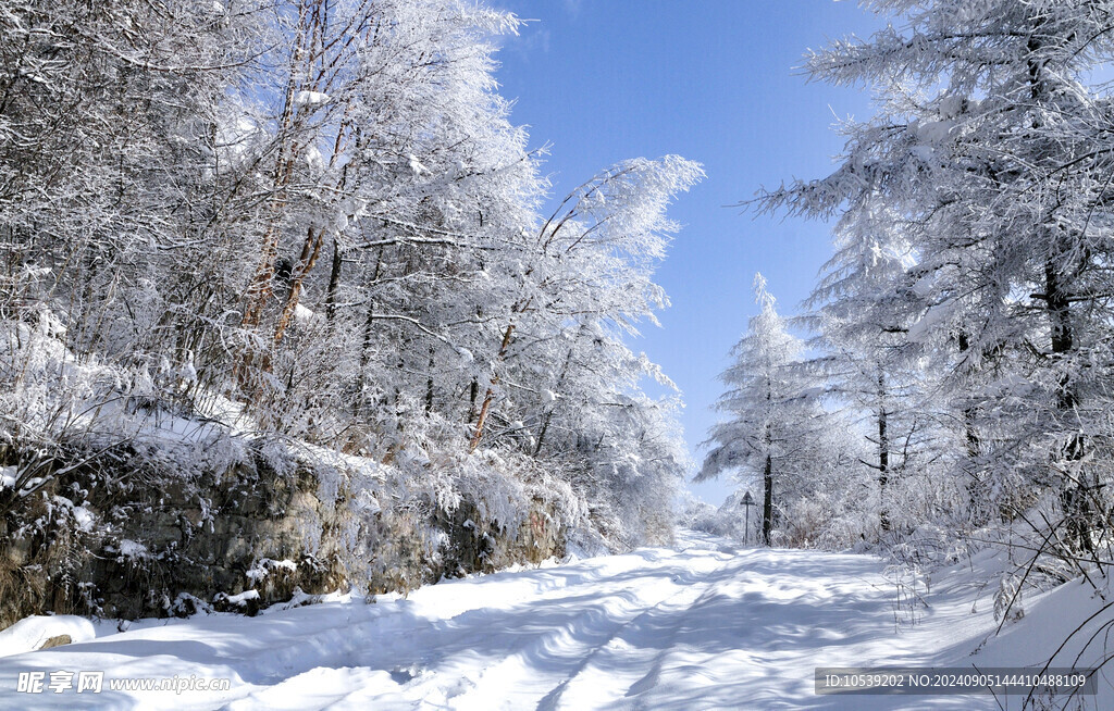 冬季雪景