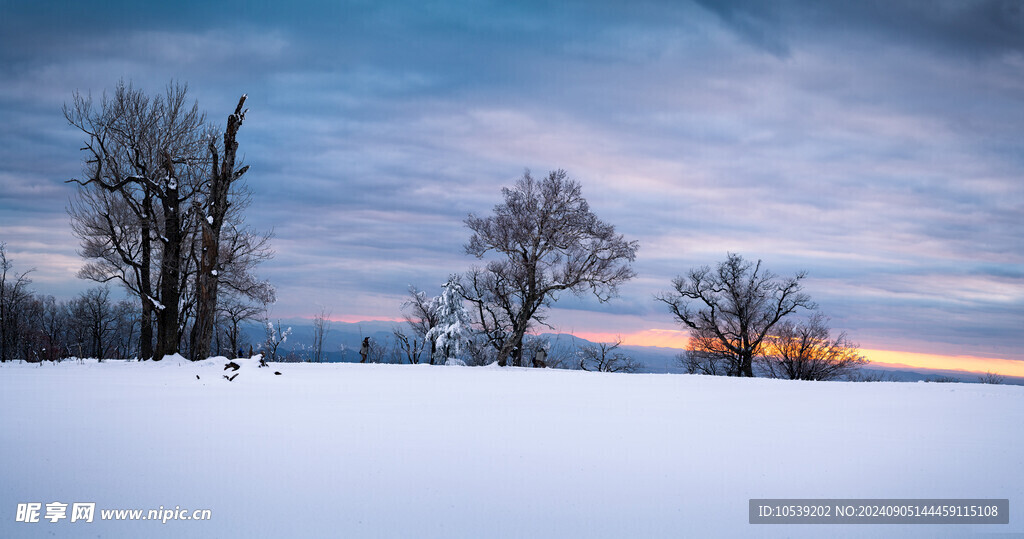 冬季雪景