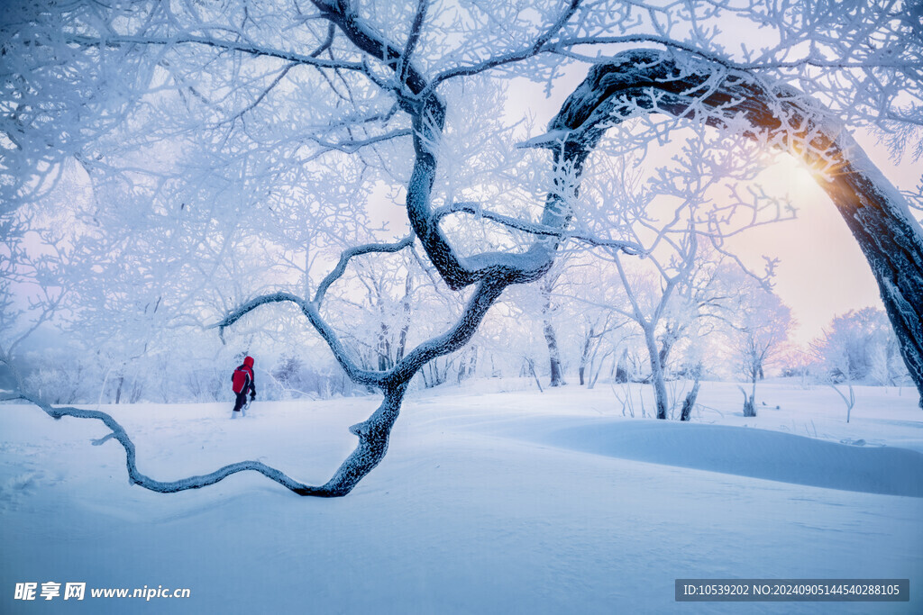 冬季雪景