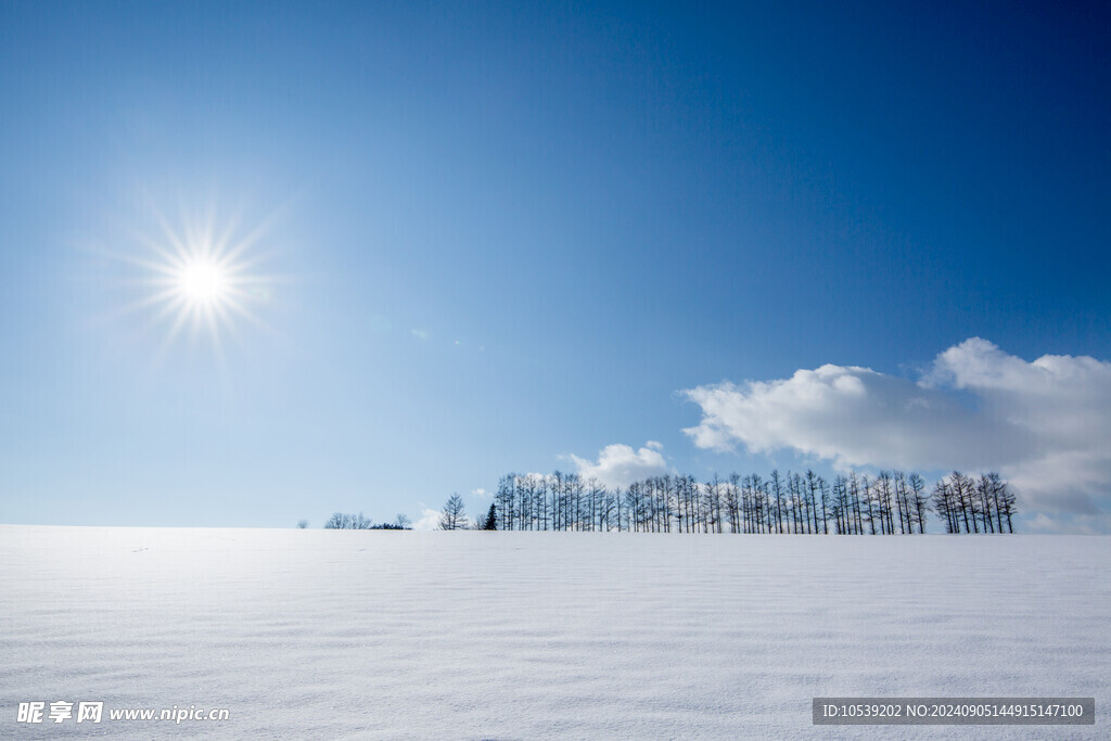 冬季雪景