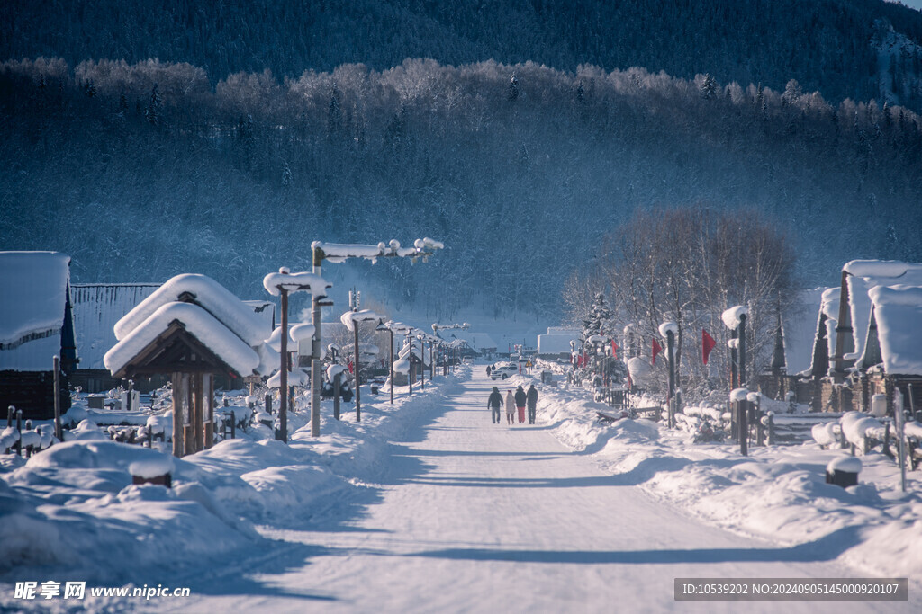 冬季雪景 