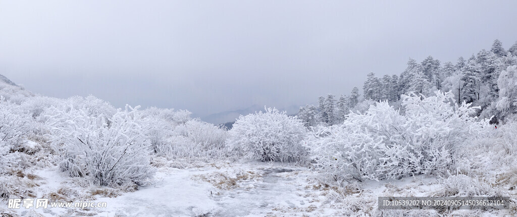 冬季雪景
