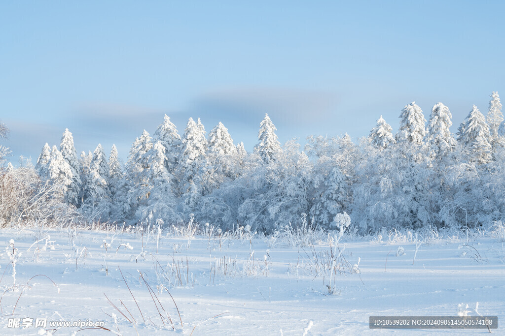 冬季雪景