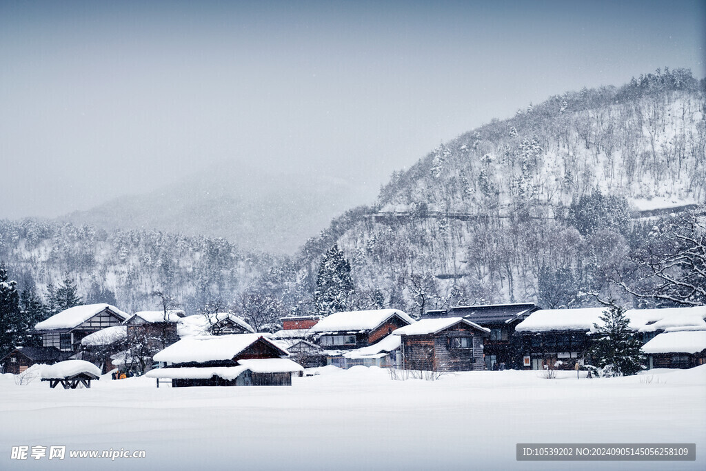 冬季雪景