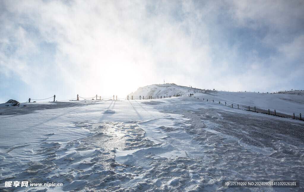 冬季雪景