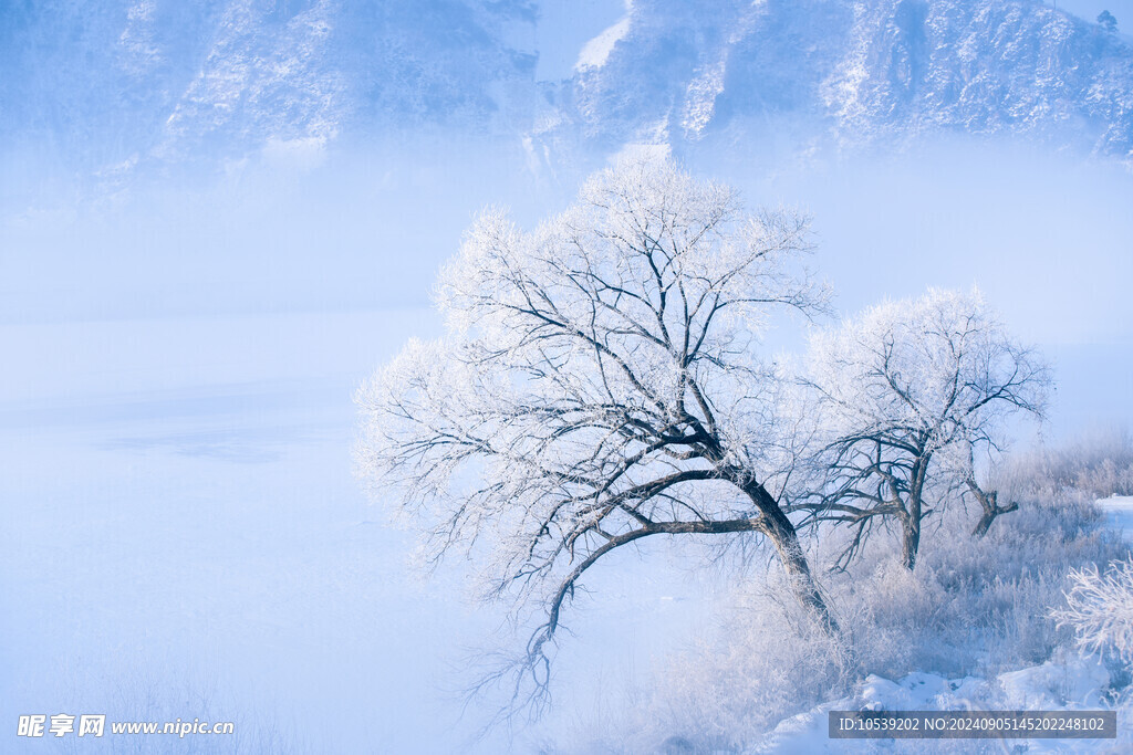 冬季雪景