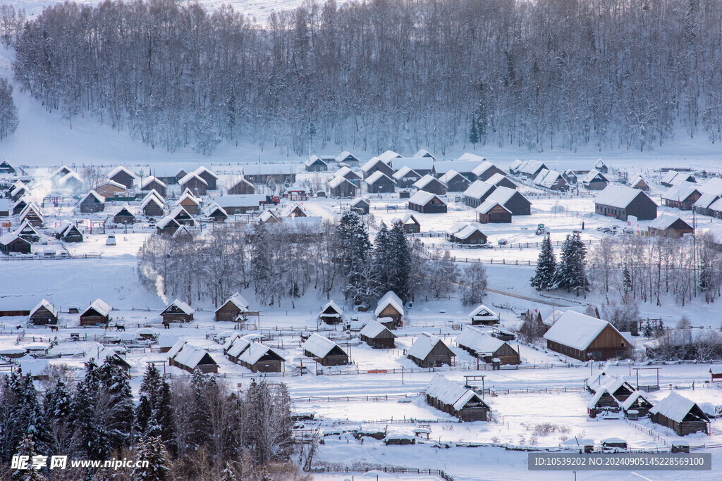 冬季雪景