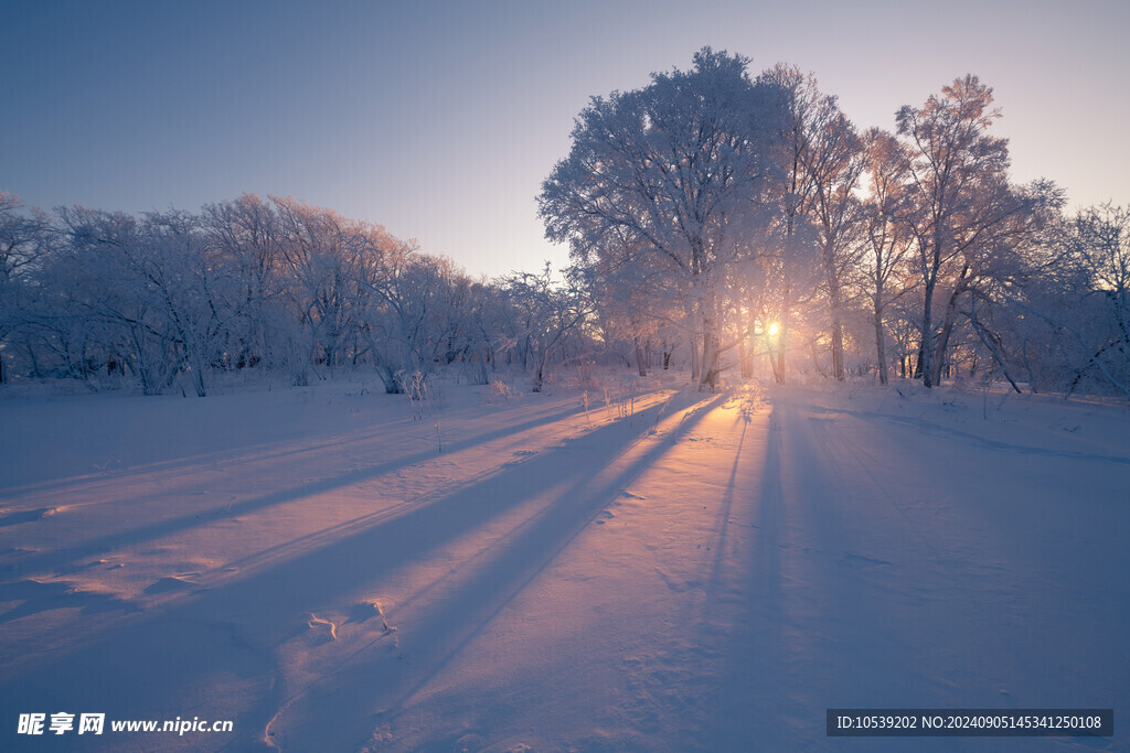 冬季雪景