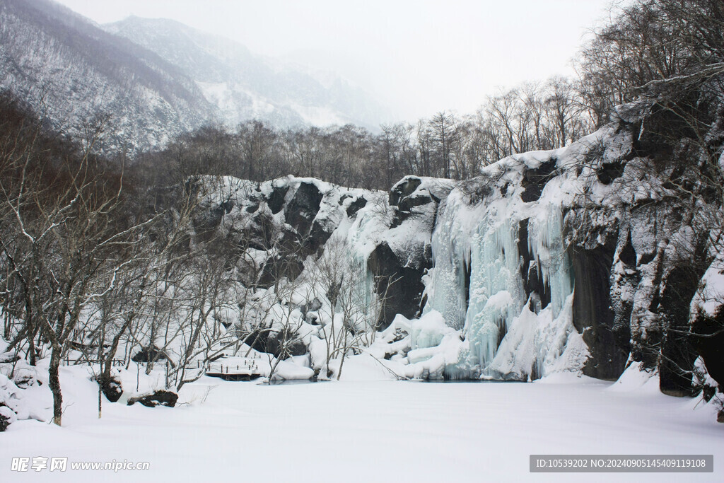 冬季雪景