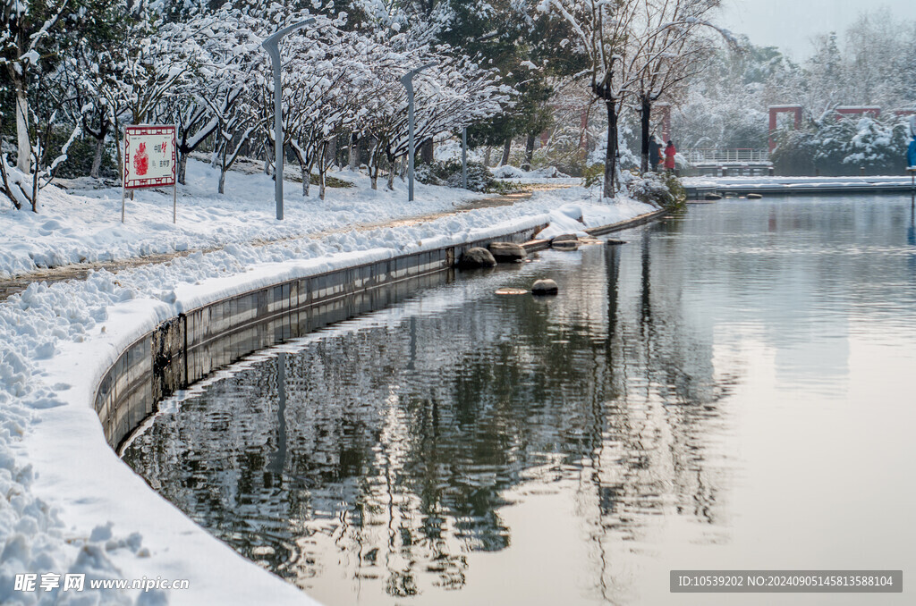 冬季雪景