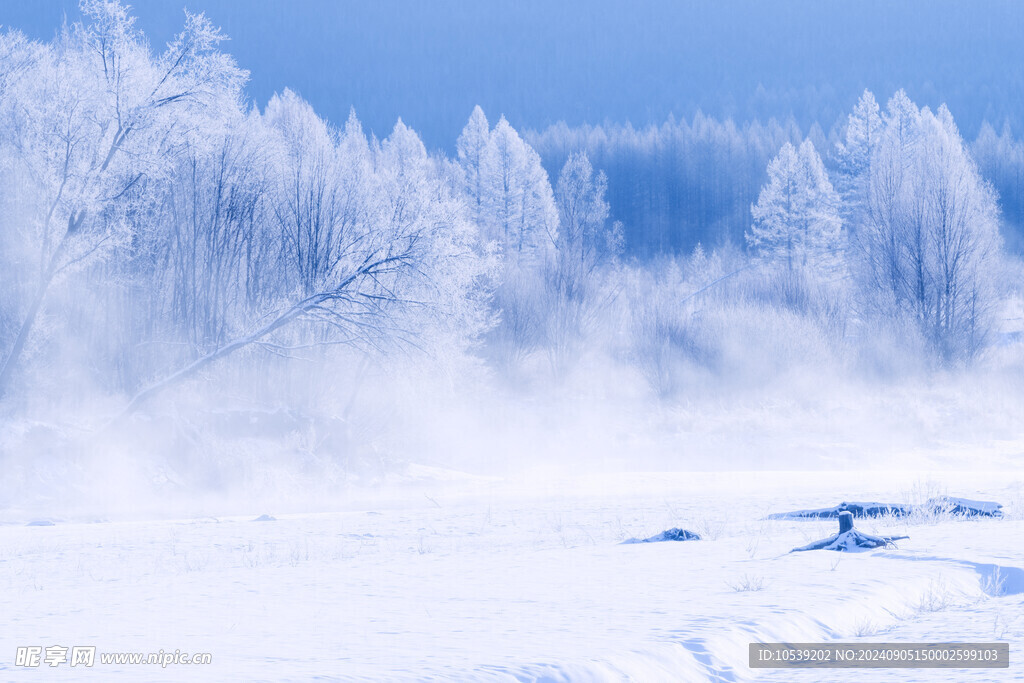 冬季雪景