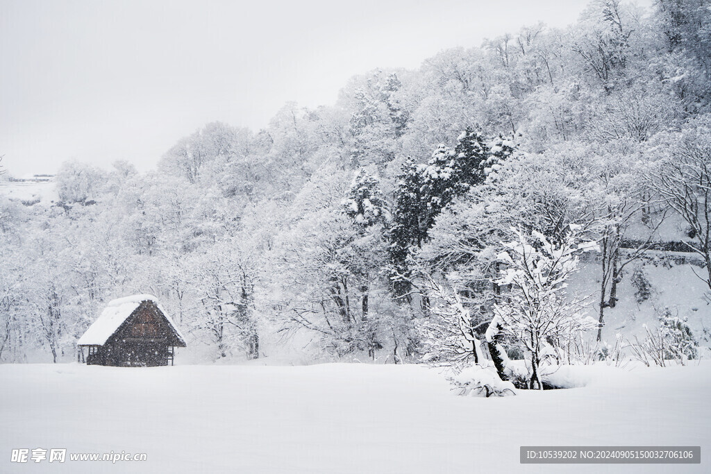 冬季雪景
