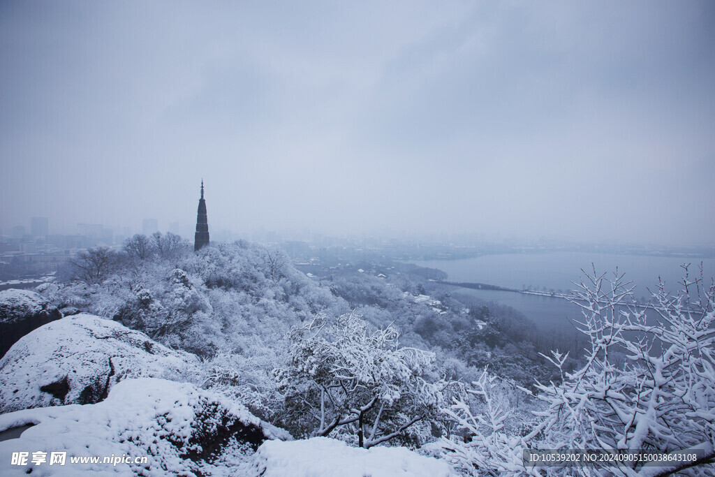 冬季雪景 