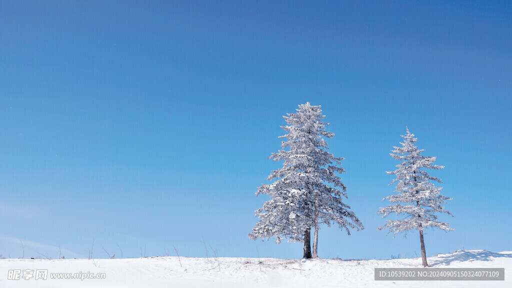 冬季雪景