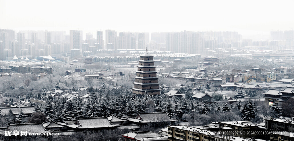 雪景