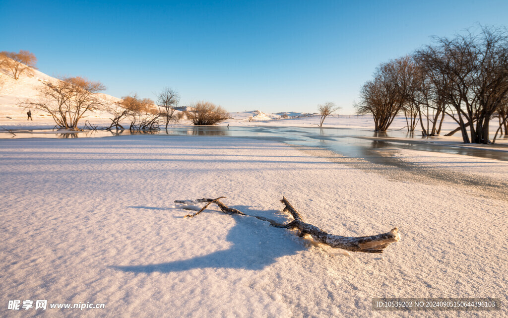 冬季雪景