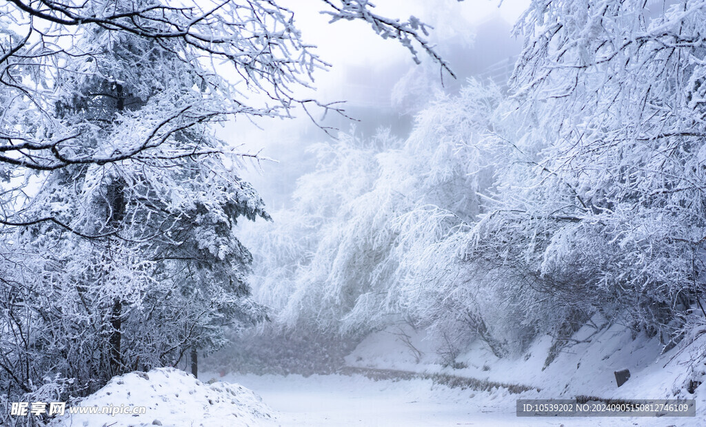 雪景