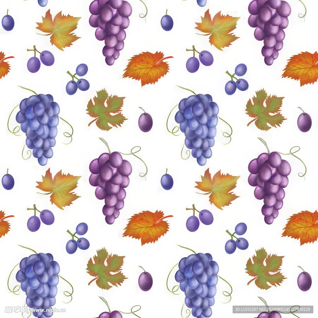 紫色葡萄叶子藤蔓植物水彩插画