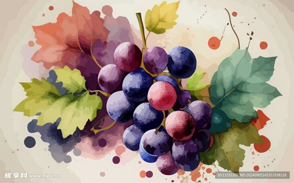 紫色葡萄叶子藤蔓植物水彩插画