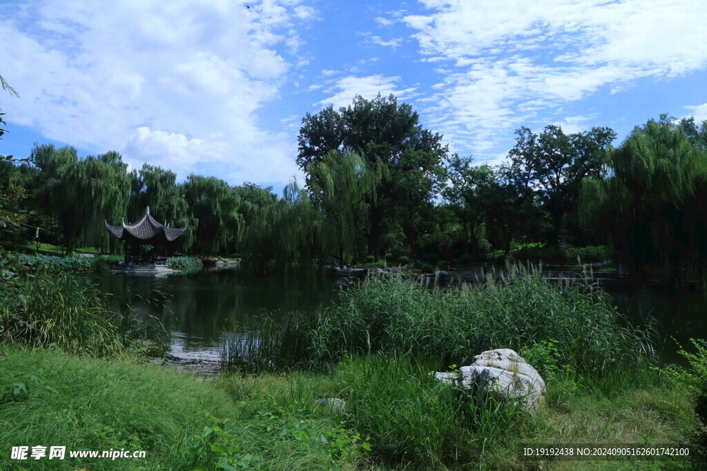 公园风景  