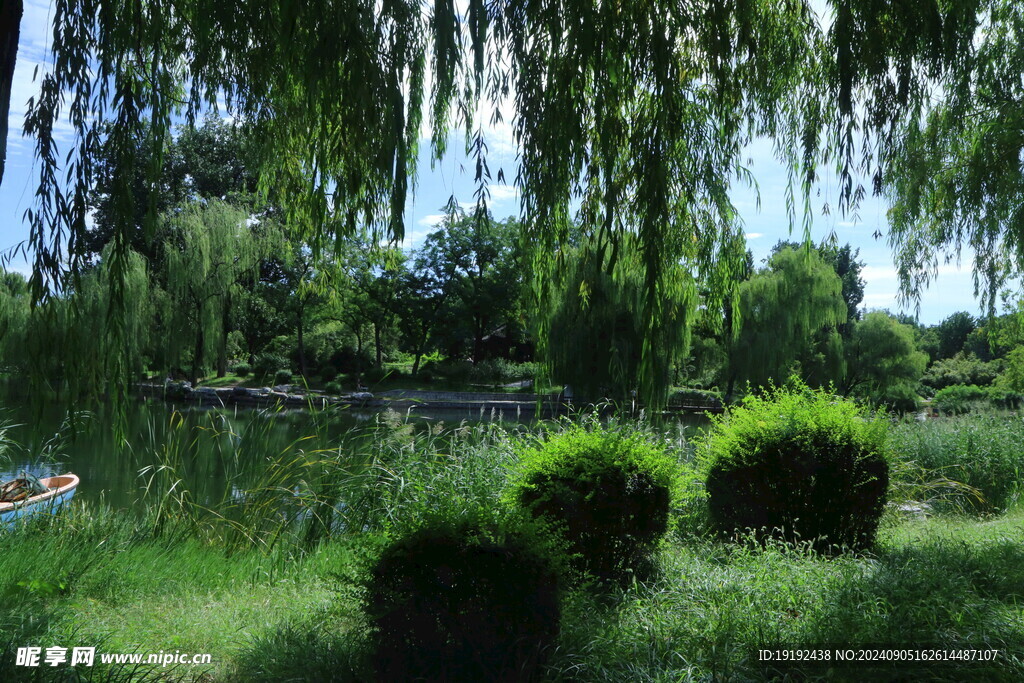 公园风景  