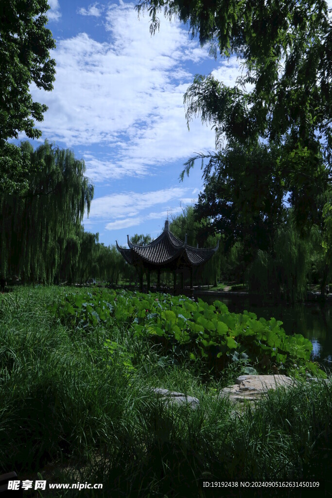 公园风景  