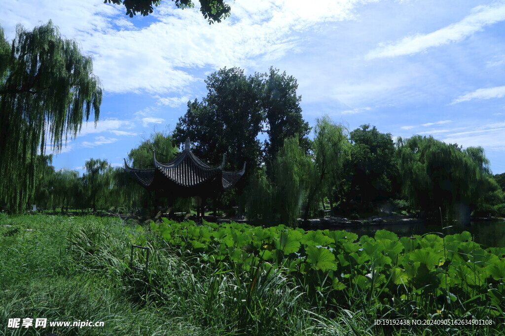 公园风景  