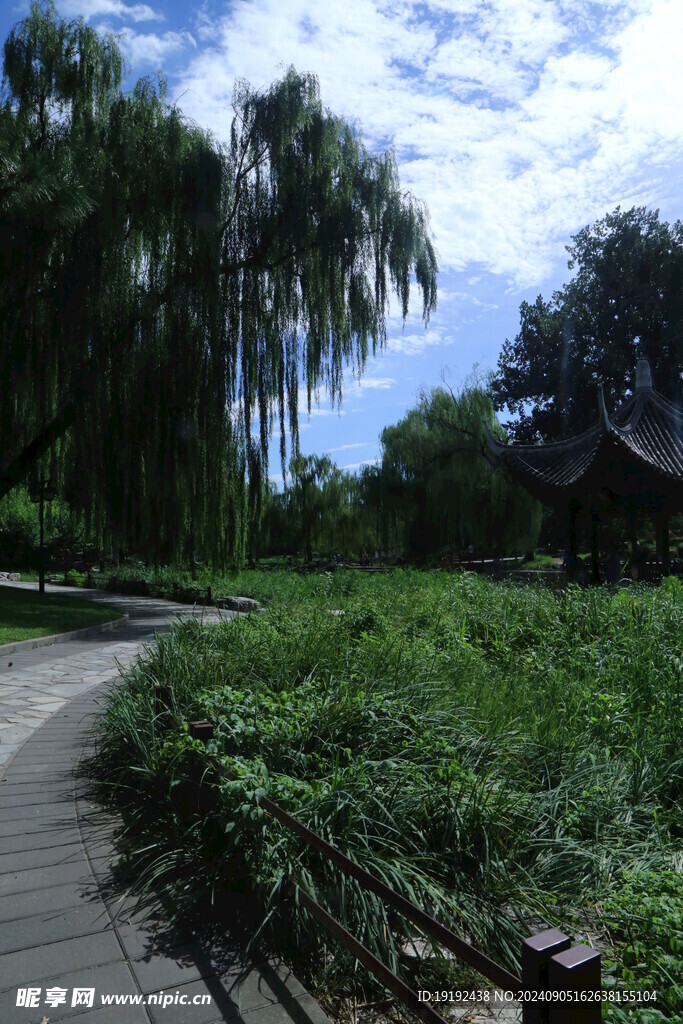 公园风景 