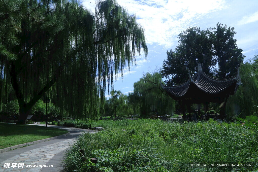公园风景 