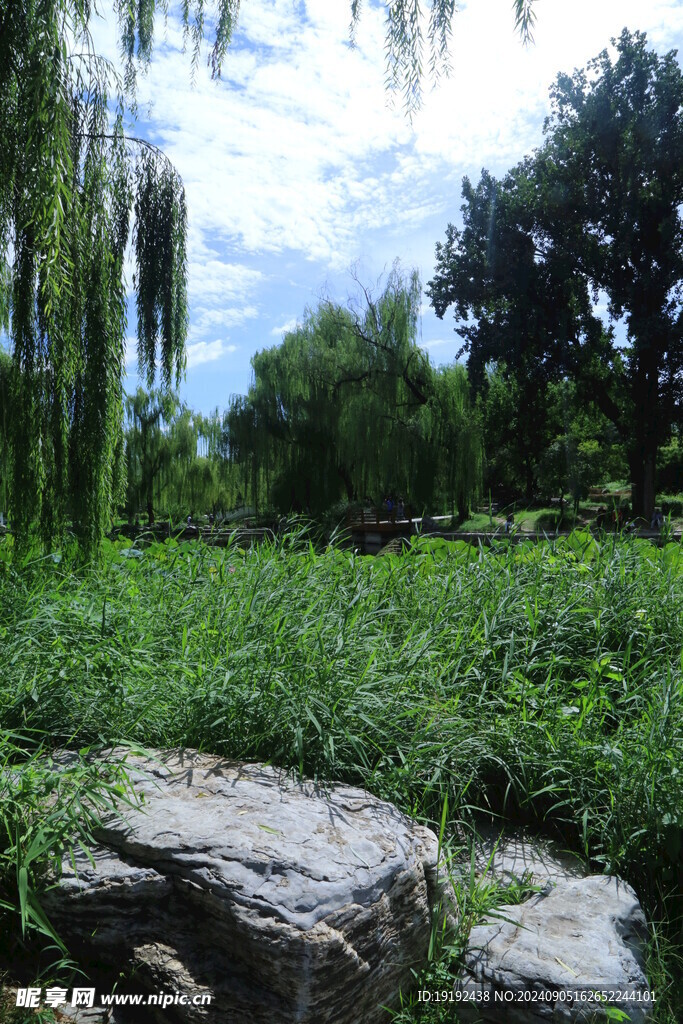 公园风景 