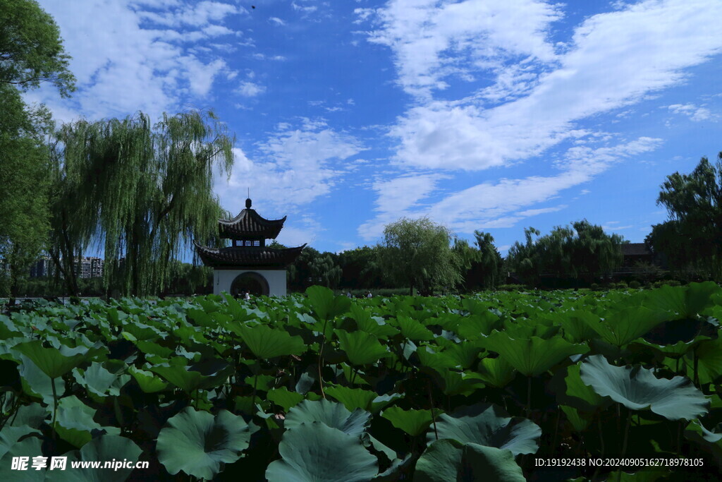 公园风景  