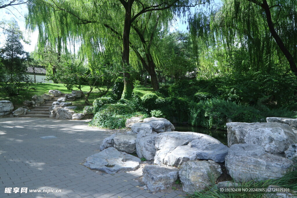 公园风景  