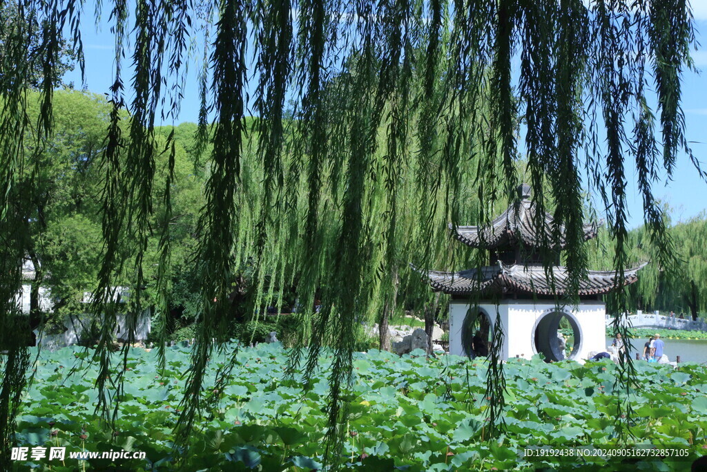 公园风景 