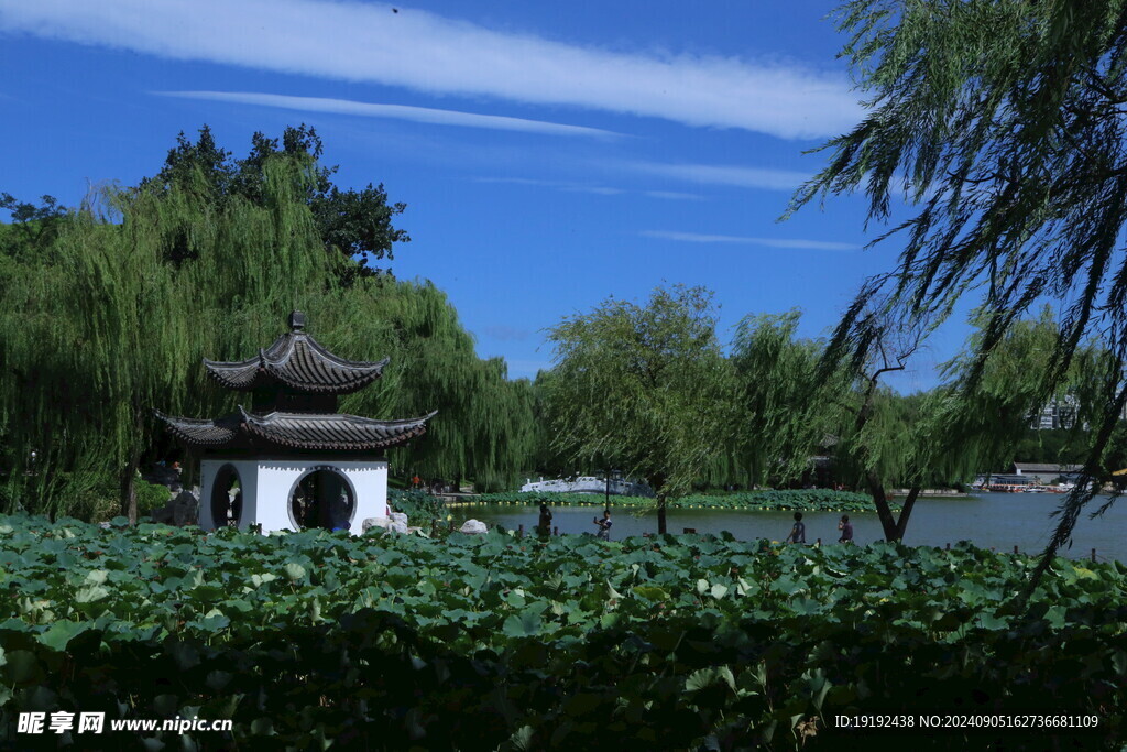 公园风景  