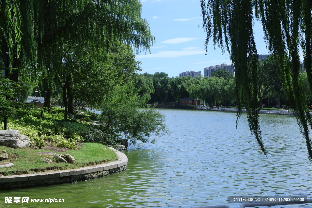 公园风景  