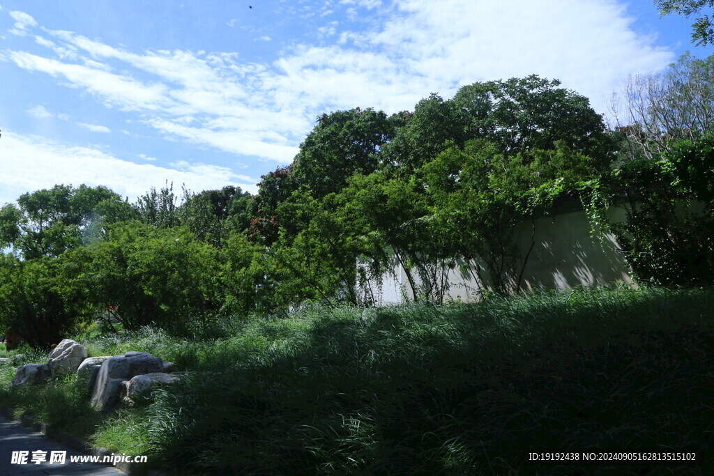公园风景 