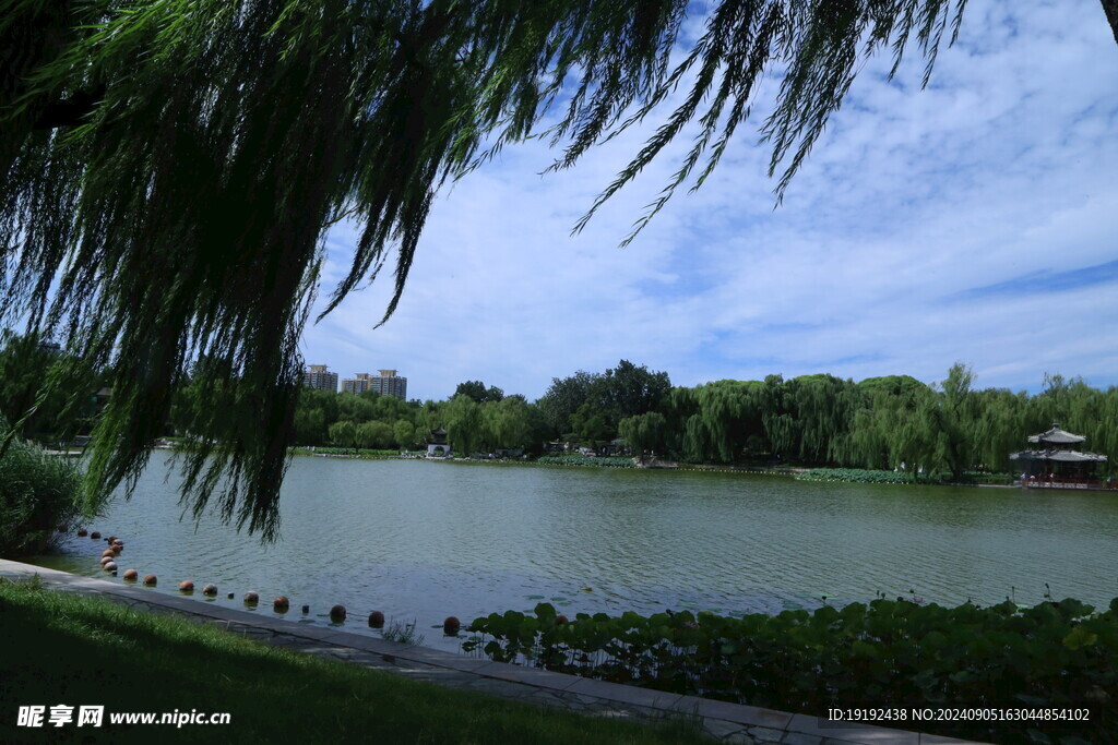 公园风景  
