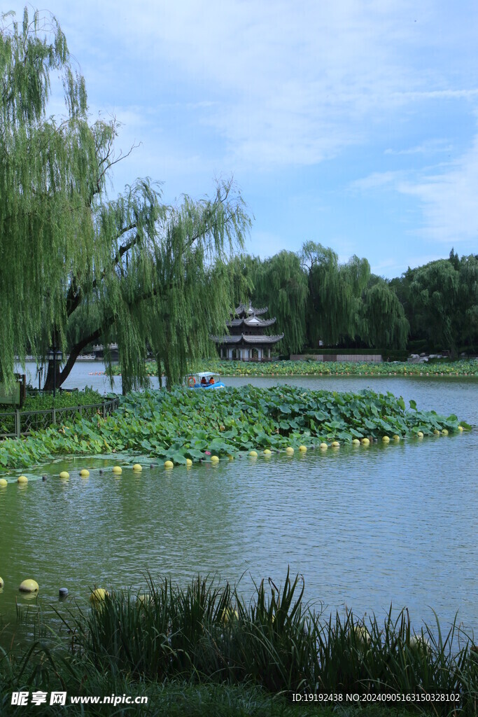 公园风景