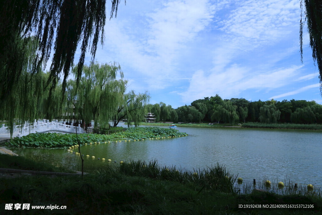 公园风景  