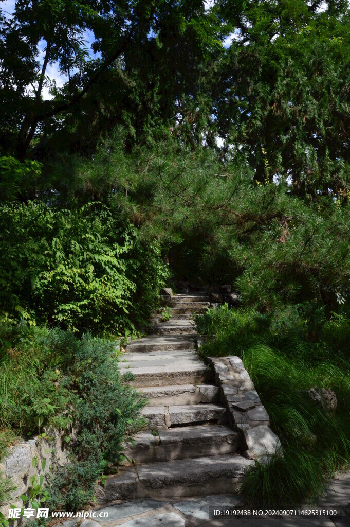公园风景  