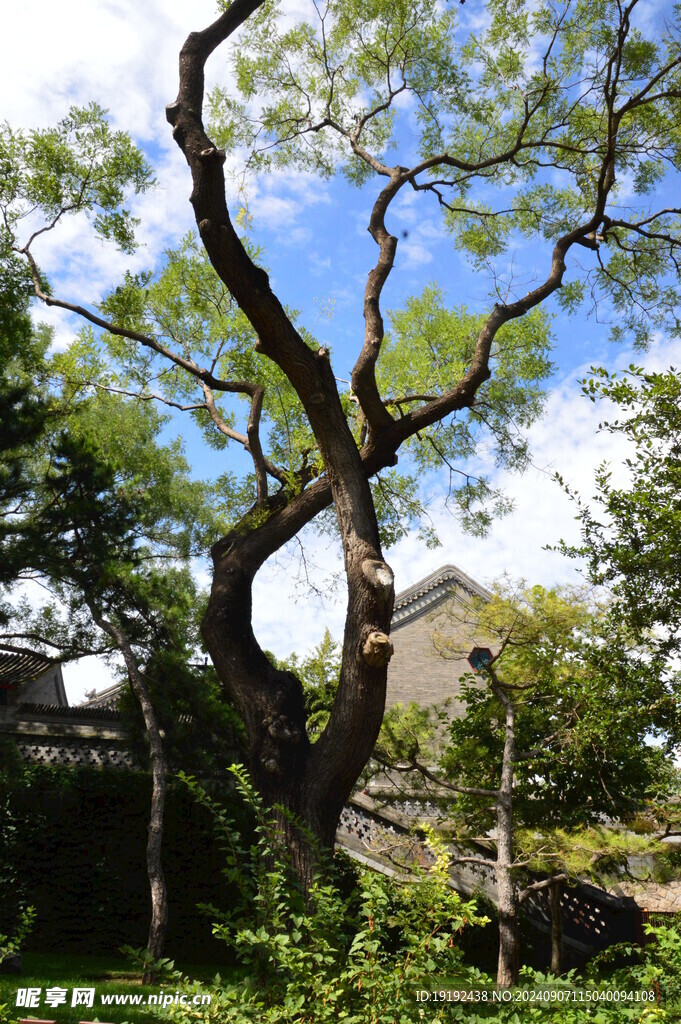 公园风景  