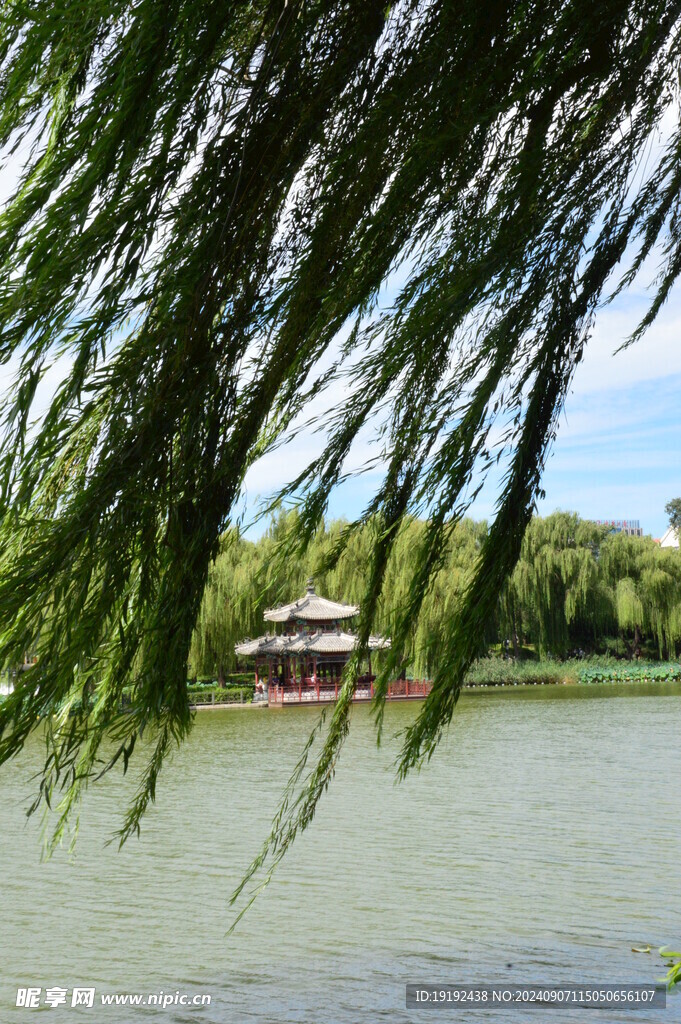 公园风景 