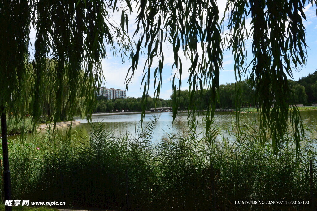 公园风景 