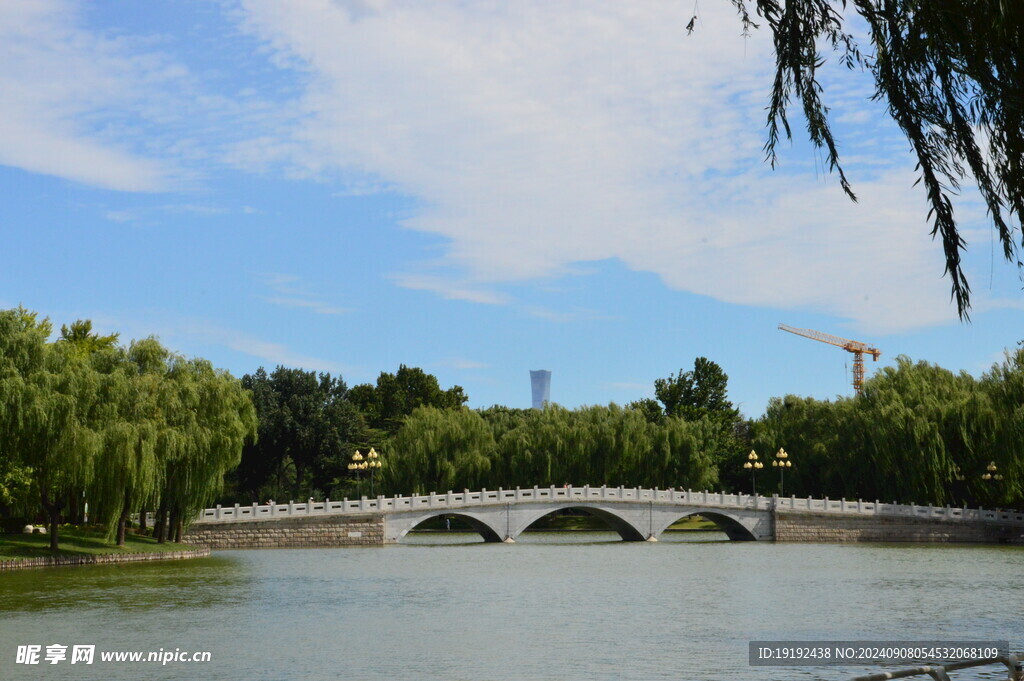 公园风景  