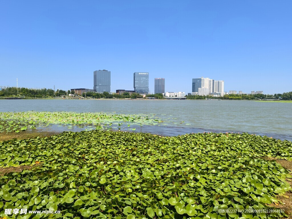 公园湖面建筑