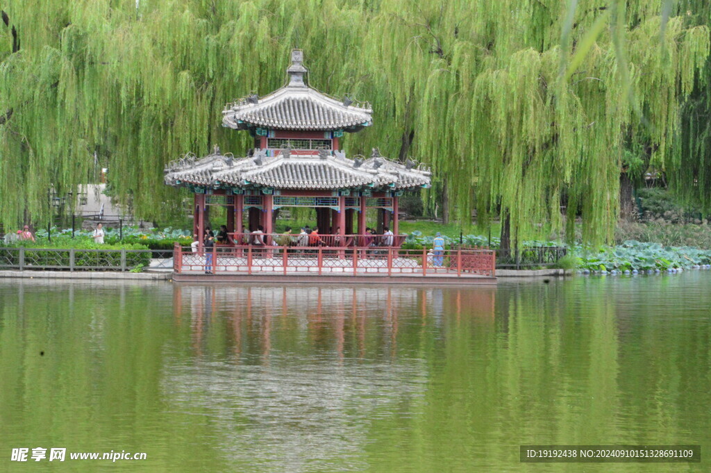 公园风景 