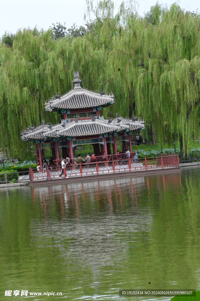 公园风景  